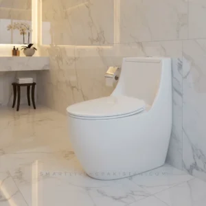 Luxury Dolphin One Piece Commode - High quality material - Smart living pakistan