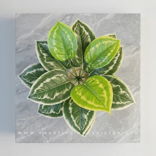 Artificial Plant Decor Indoor Plant for Home in Pot in Pakistan-1 (1) Artificial Plant Decor Indoor Plant for Home with Pot in Pakistan
