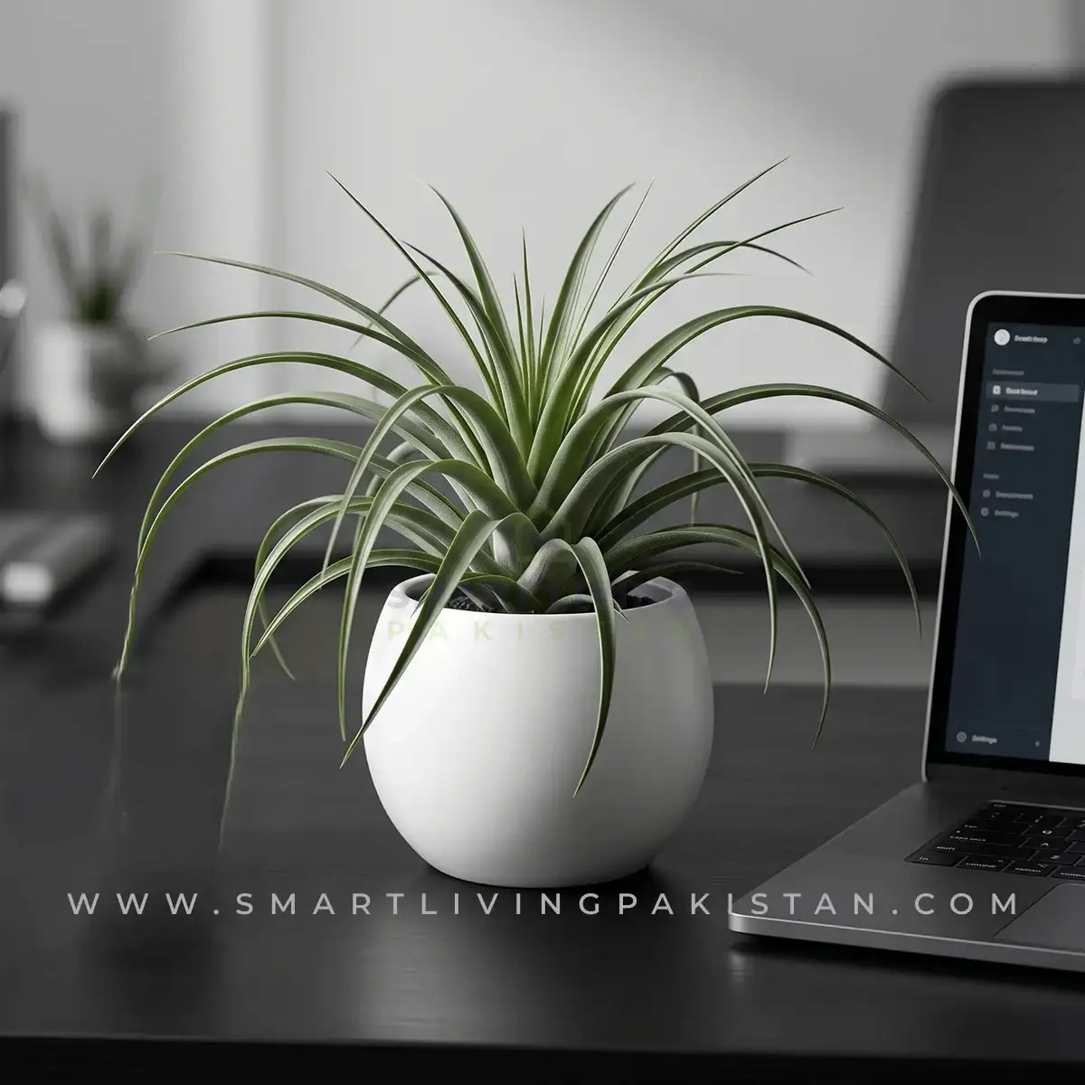 Artificial plant in white ceramic planter, alternate angle, by Smart Living Pakistan