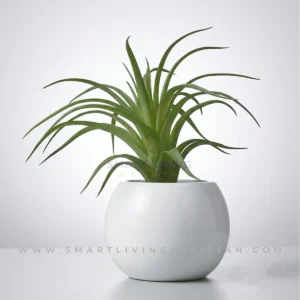 Artificial plant with wispy fronds in white ceramic planter, by Smart Living Pakistan