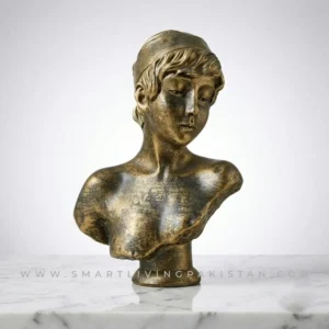 Antique Bronze Bust Sculpture Decoration Piece by Smart Living Pakistan