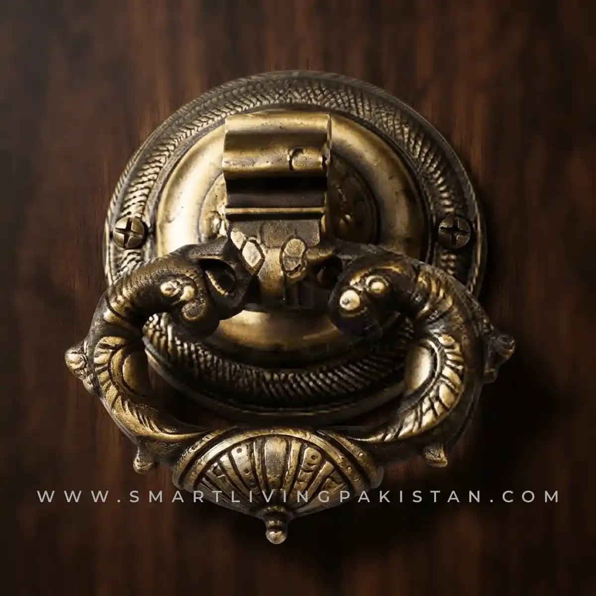 Royal Cut Door Knocker Dragon by smart living pakistan