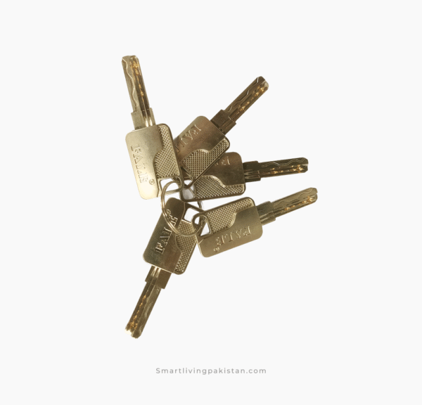 Main gate Door lock Heavy duty with 5 keys