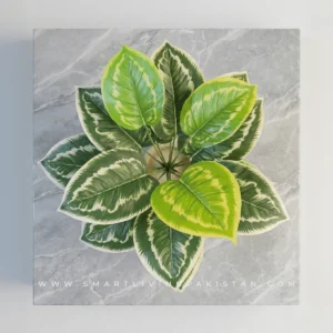 Artificial Plant Decor Indoor Plant for Home with Pot in Pakistan