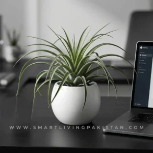 Artificial plant in white ceramic planter, alternate angle, by Smart Living Pakistan