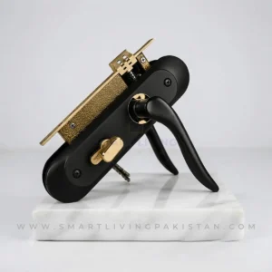 Matte Black Door Handle Lock with gold accent on oval backplate