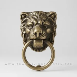 Lion Door Knocker Brass Heavy Duty Door Knocker by smart living Pakistan